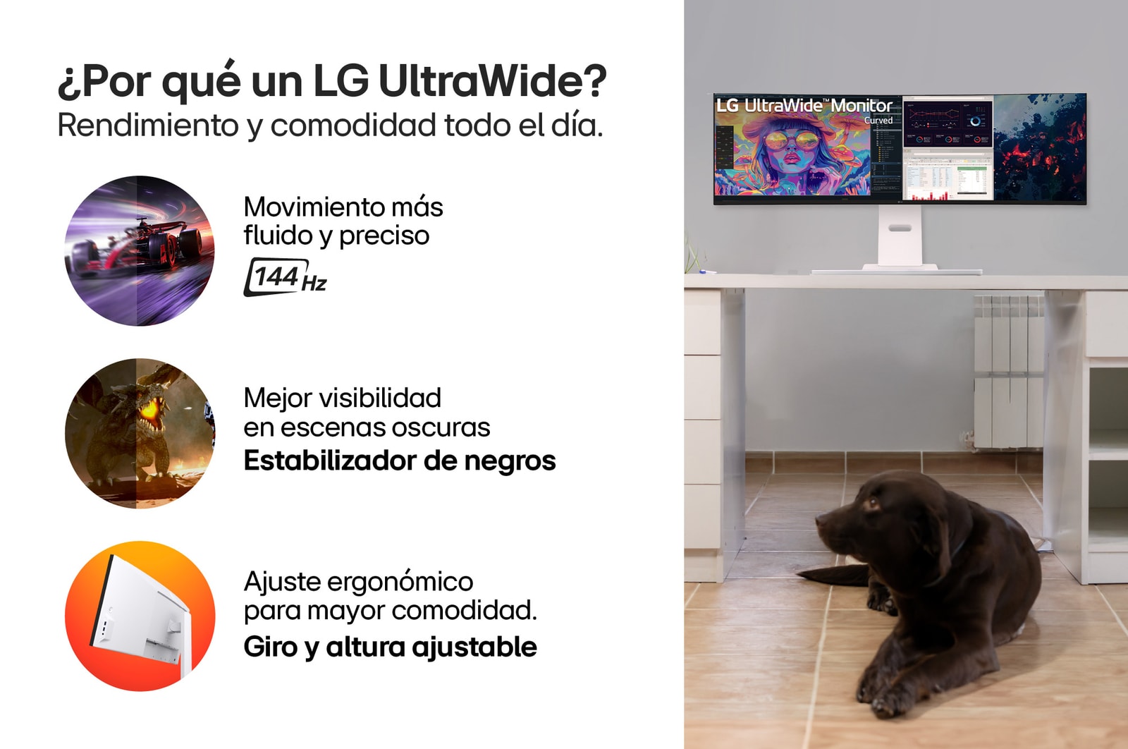 monitor LG UltraWide Dual 